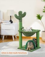 petit arbre à chat cactus