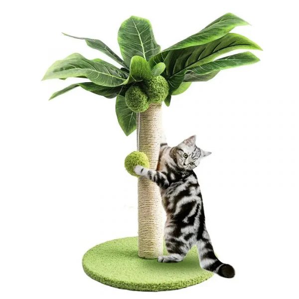 petit arbre à chat palmier